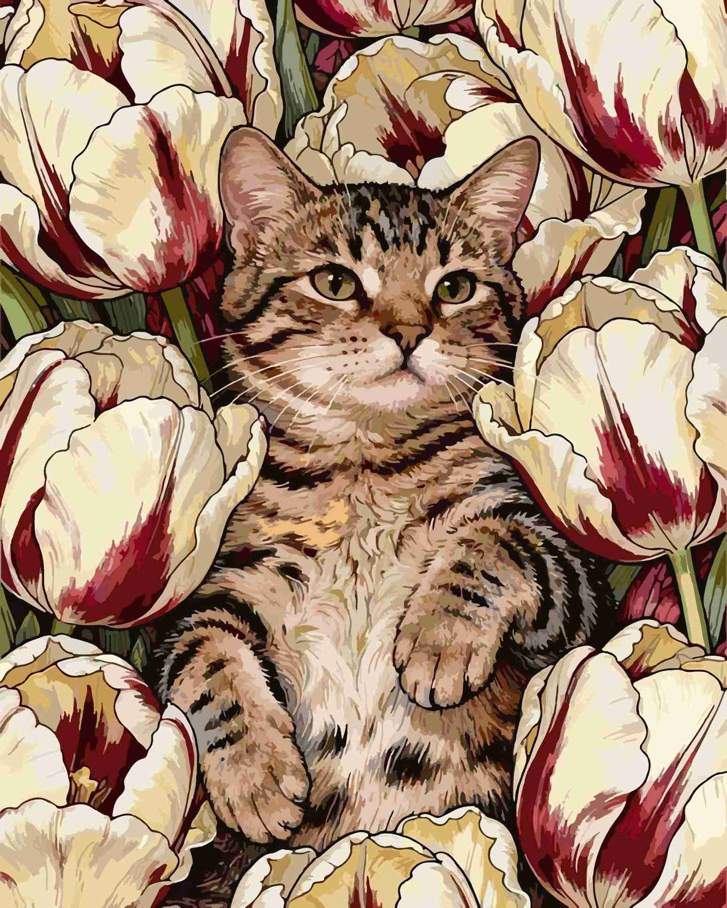Cats and Flowers 5