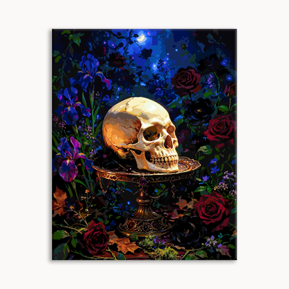 Dark Skull Study（36-80+colors）