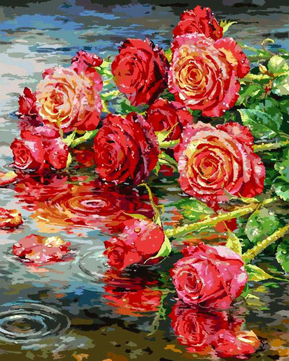 Rose in the Rain（36-60+colors）