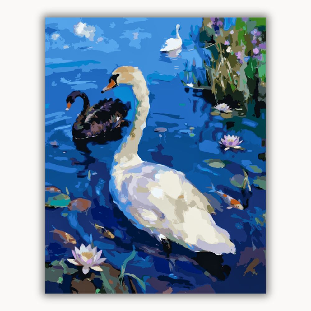 Swans Playing in the Water 1