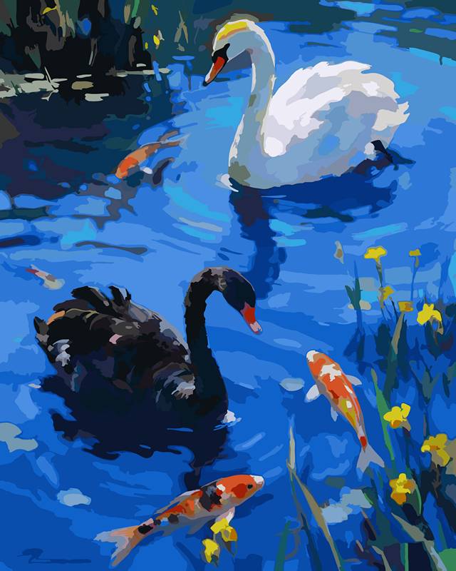 Swans Playing in the Water 2