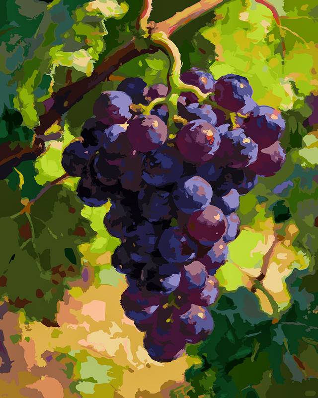 The grapes are ripe 1