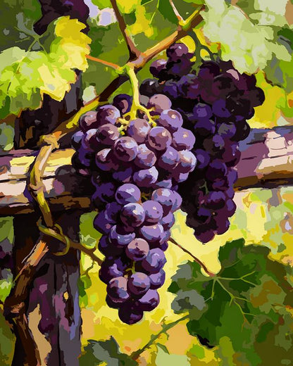 The grapes are ripe 2