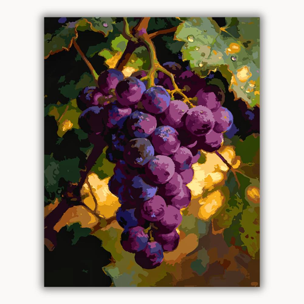 The grapes are ripe 3