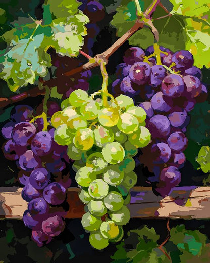 The grapes are ripe 4