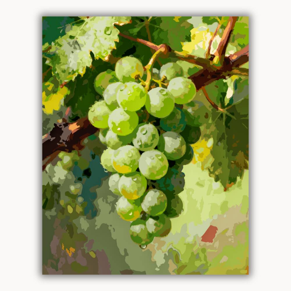 The grapes are ripe 5