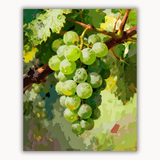 The grapes are ripe 5